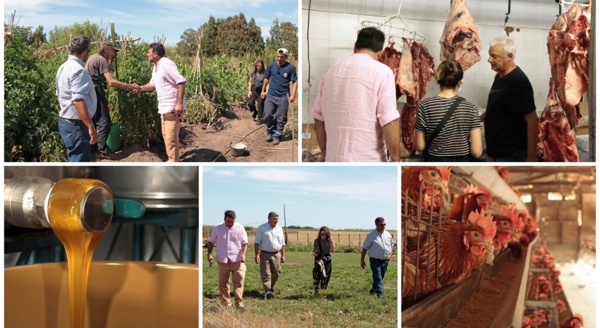 Hidroponía Madariaga recorrido